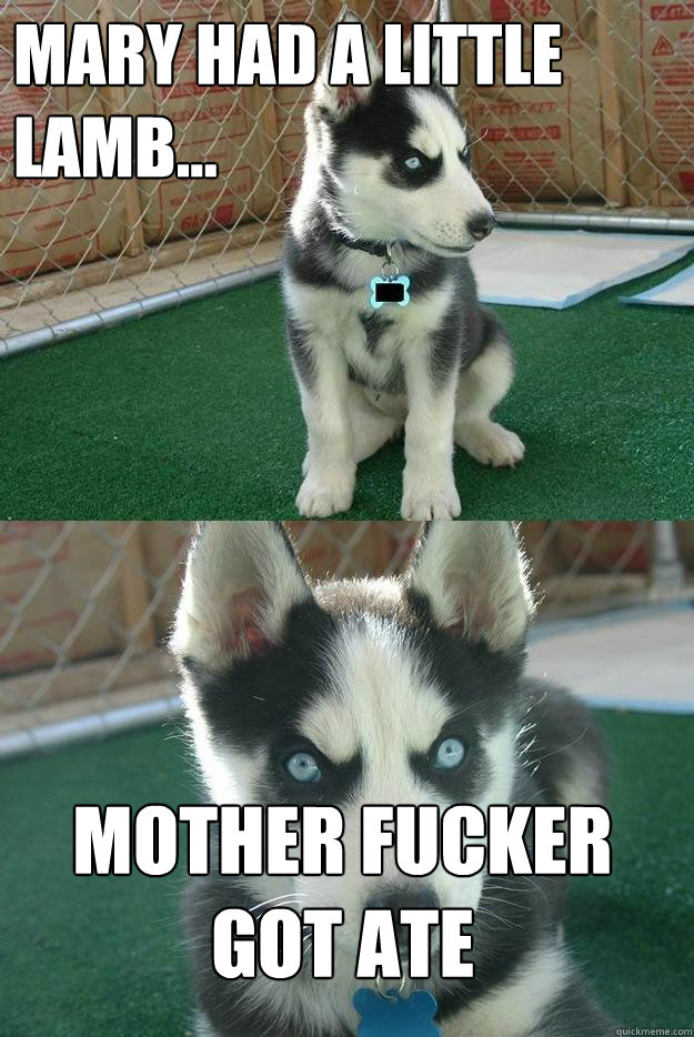 MARY HAD A LITTLE LAMB... Mother fucker got ATE  Insanity puppy