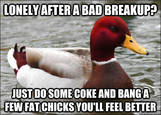 Lonely after a bad breakup? Just do some coke and bang a few fat chicks you'll feel better  Malicious Advice Mallard