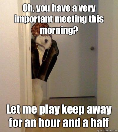 Oh, you have a very important meeting this morning? Let me play keep away for an hour and a half  Scumbag dog