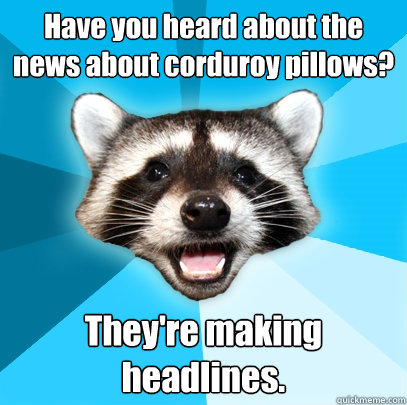Have you heard about the news about corduroy pillows? They're making headlines.  Lame Pun Coon