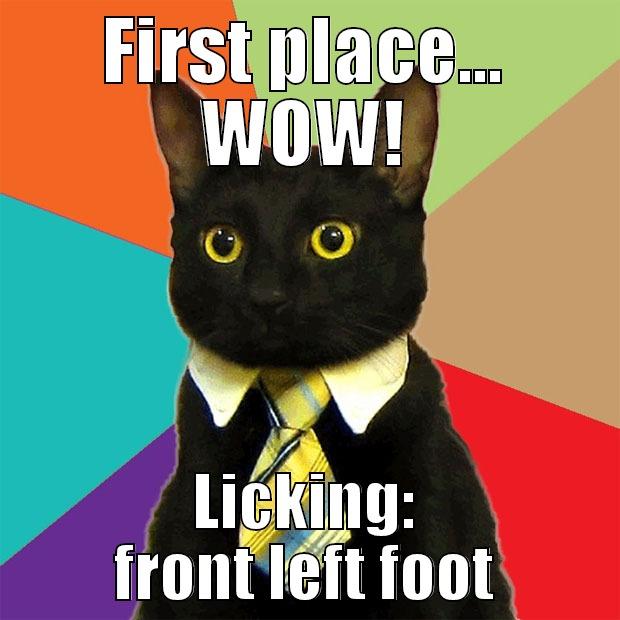 FIRST PLACE... WOW! LICKING: FRONT LEFT FOOT Business Cat