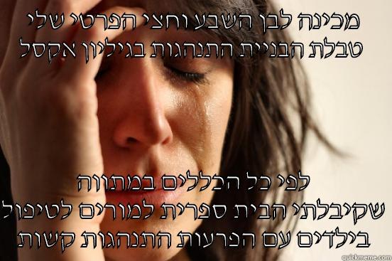 מכינה לבן השבע וחצי הפרטי שלי טבלת הבניית התנהגות בגיליון אקסל  לפי כל הכללים במתווה שקיבלתי הבית ספרית למורים לטיפול בילדים עם הפרעות התנהגות קשות First World Problems