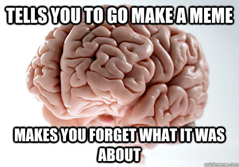 Tells you to go make a meme makes you forget what it was about - Tells you to go make a meme makes you forget what it was about  Scumbag Brain