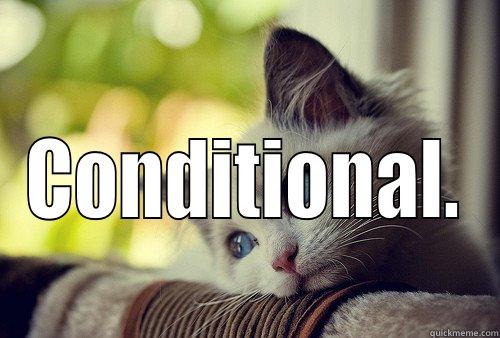  CONDITIONAL. First World Problems Cat