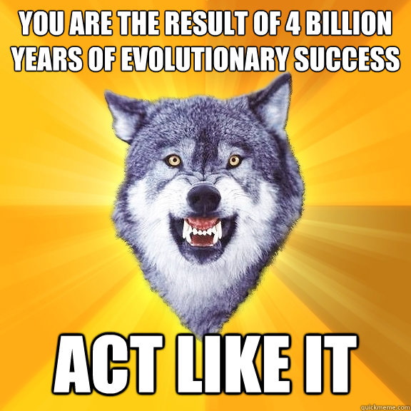 you are the result of 4 billion years of evolutionary success act like it  Courage Wolf