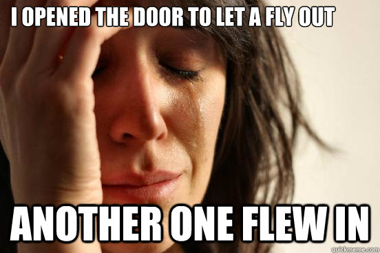 I opened the door to let a fly out another one flew in  First World Problems