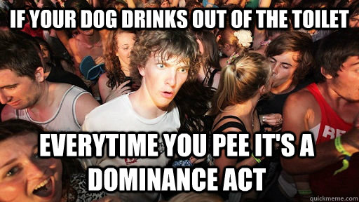 If your dog drinks out of the toilet everytime you pee it's a dominance act  Sudden Clarity Clarence