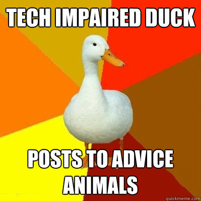 tech impaired duck posts to advice animals  Tech Impaired Duck