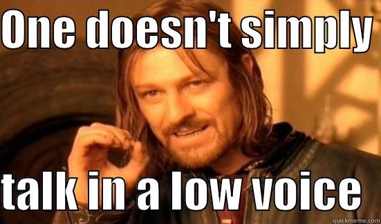 ONE DOESN'T SIMPLY   TALK IN A LOW VOICE  Boromir
