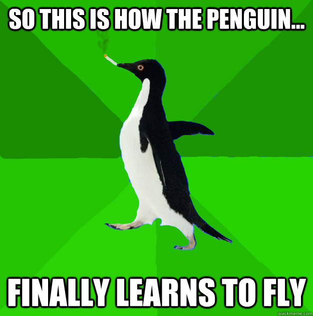 SO this is how the penguin... finally learns to fly  