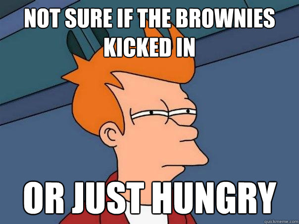 not sure if the brownies kicked in or just hungry  Futurama Fry