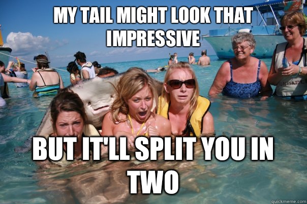 My tail might look that impressive But it'll split you in two  Pervert Stingray