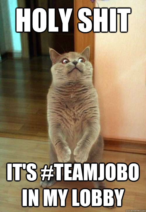 Holy shit it's #teamjobo in my lobby  Horrorcat