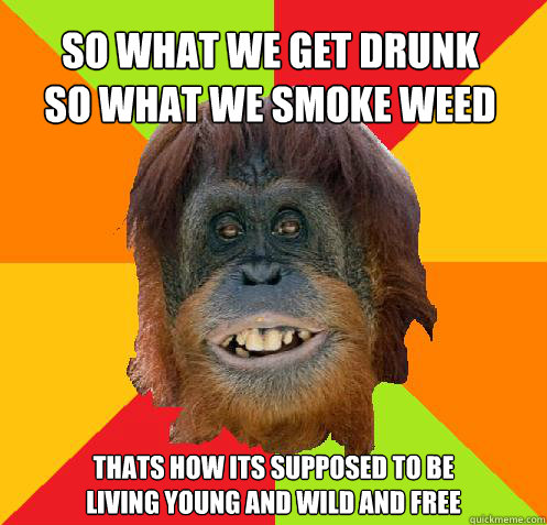 so what we get drunk
so what we smoke weed thats how its supposed to be
living young and wild and free  Culturally Oblivious Orangutan