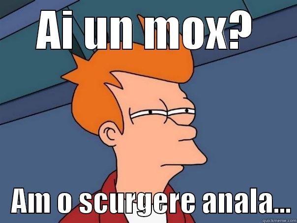 Ai un mox? - AI UN MOX?    AM O SCURGERE ANALA... Futurama Fry