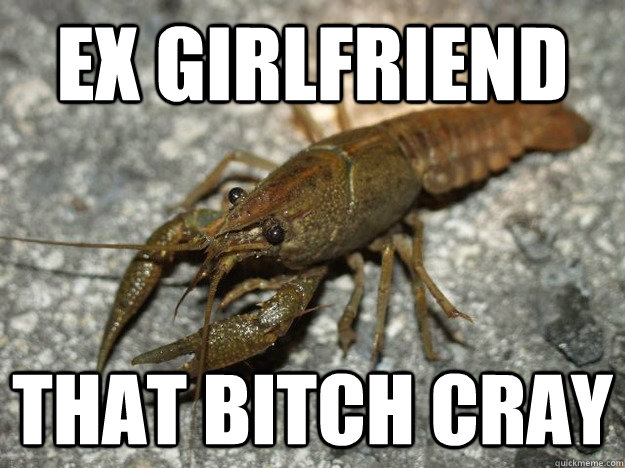 Ex Girlfriend That bitch cray  that fish cray