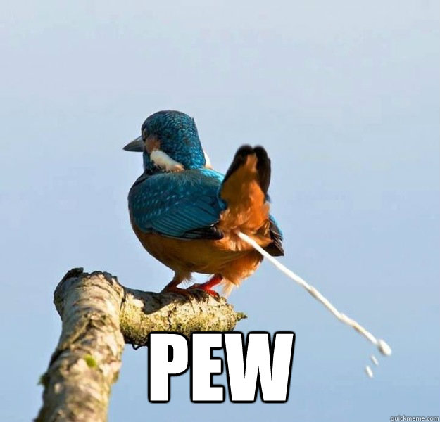  pew -  pew  Pew Bird