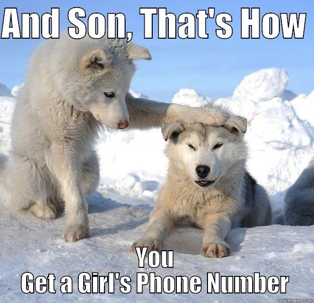 Girl's phone number meme - AND SON, THAT'S HOW  YOU GET A GIRL'S PHONE NUMBER Caring Husky
