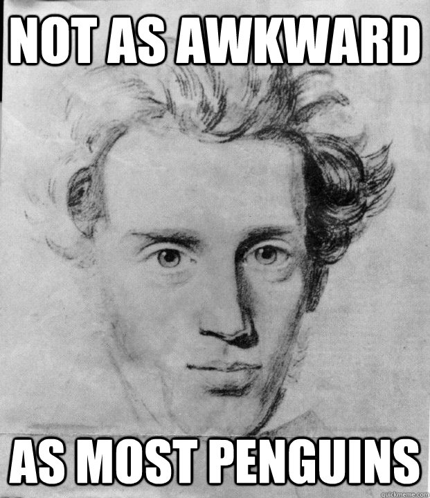 Not as awkward as most penguins  
