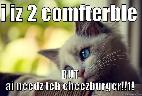 I IZ 2 COMFTERBLE  BUT AI NEEDZ TEH CHEEZBURGER!!1! First World Problems Cat