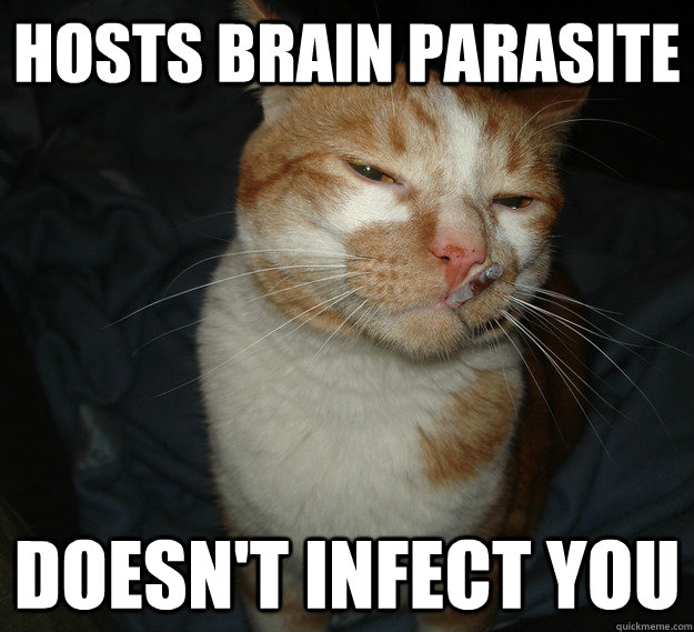hosts brain parasite doesn't infect you  Cool Cat Craig
