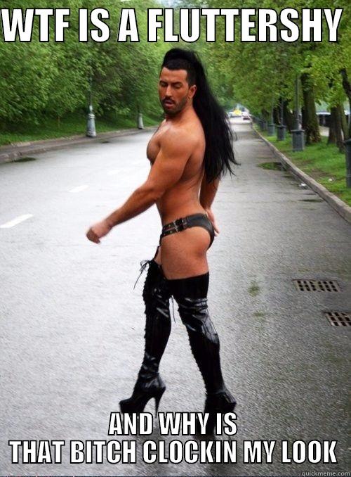 WTF IS A FLUTTERSHY  AND WHY IS THAT BITCH CLOCKIN MY LOOK Misc