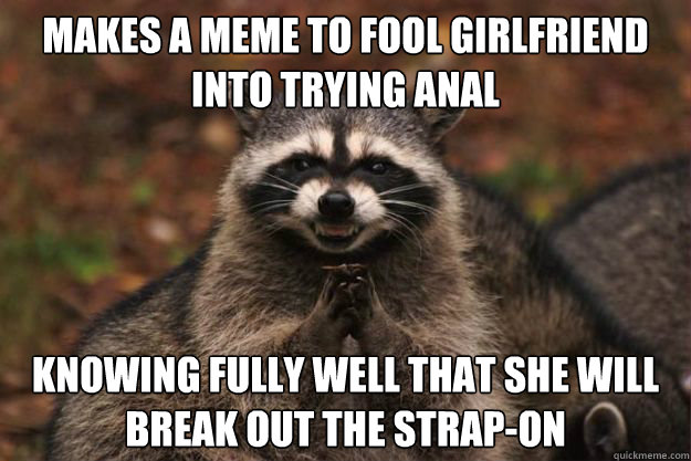 Makes a meme to fool girlfriend into trying anal Knowing fully well that she will break out the strap-on   Evil genius racoon