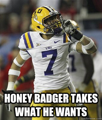  honey badger takes what he wants  Honey Badger