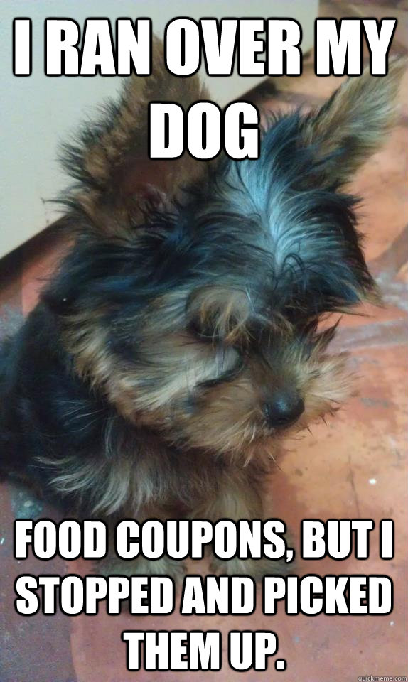 I ran over my dog food coupons, but I stopped and picked them up. - I ran over my dog food coupons, but I stopped and picked them up.  Depressing Pet Photo