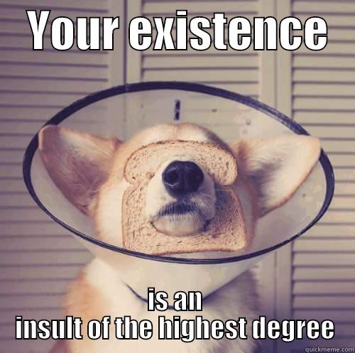    YOUR EXISTENCE    IS AN INSULT OF THE HIGHEST DEGREE Misc