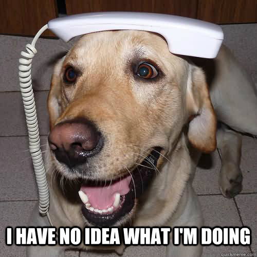 I have no idea what's going on - I have no idea dog - quickmeme