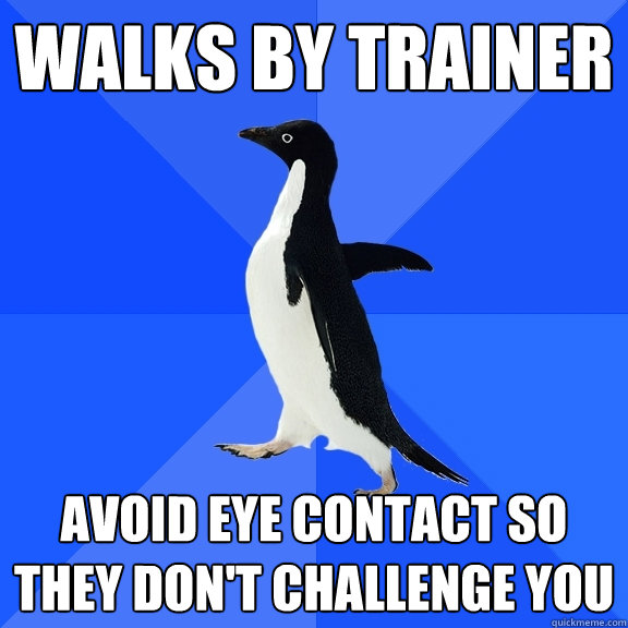 Walks by trainer  avoid eye contact so they don't challenge you   Socially Awkward Penguin