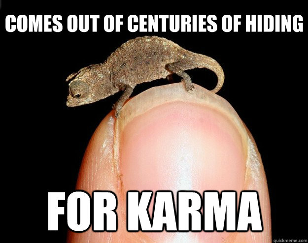 comes out of centuries of hiding for karma  Karma Chameleon