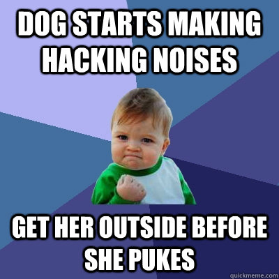 dog starts making hacking noises get her outside before she pukes  Success Kid