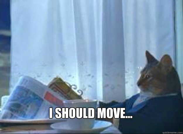 I should move...
  - I should move...
   I should buy a boat cat