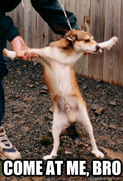  Come at me, bro -  Come at me, bro  Misc