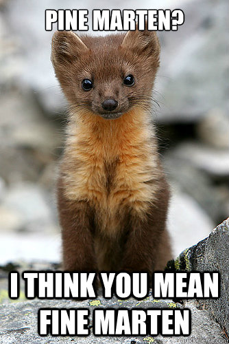 Pine marten? I think you mean fine marten - Pine marten? I think you mean fine marten  Misc