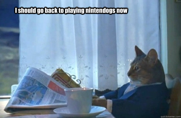 I should go back to playing nintendogs now  Sophisticated Cat