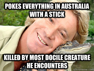 Pokes everything in Australia with a stick Killed by most docile creature he encounters - Pokes everything in Australia with a stick Killed by most docile creature he encounters  Brave Steve