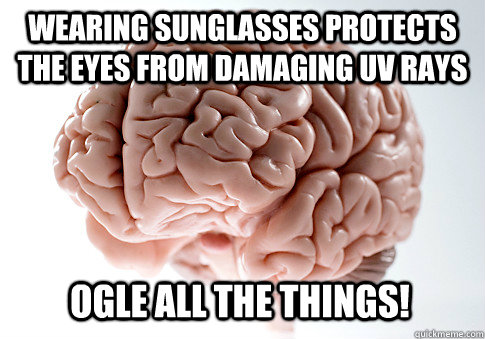 Wearing sunglasses protects the eyes from damaging UV rays Ogle all the things!  Scumbag Brain