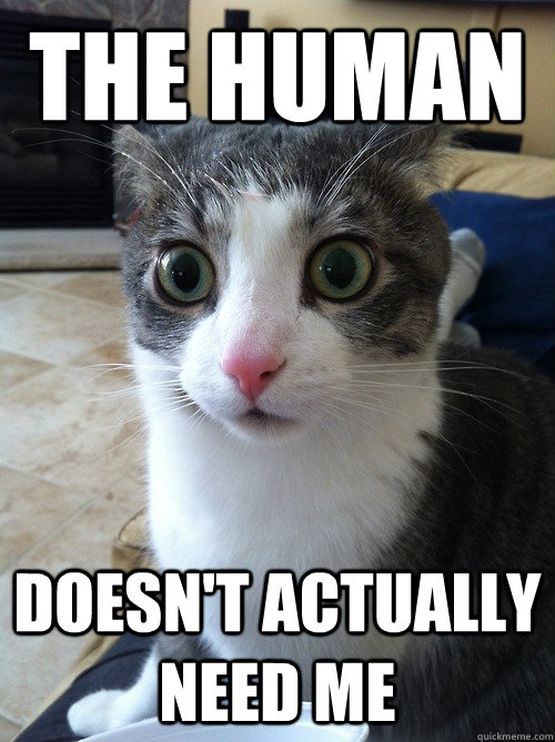 the human doesn't actually need me - the human doesn't actually need me  Sudden Clarity Cat