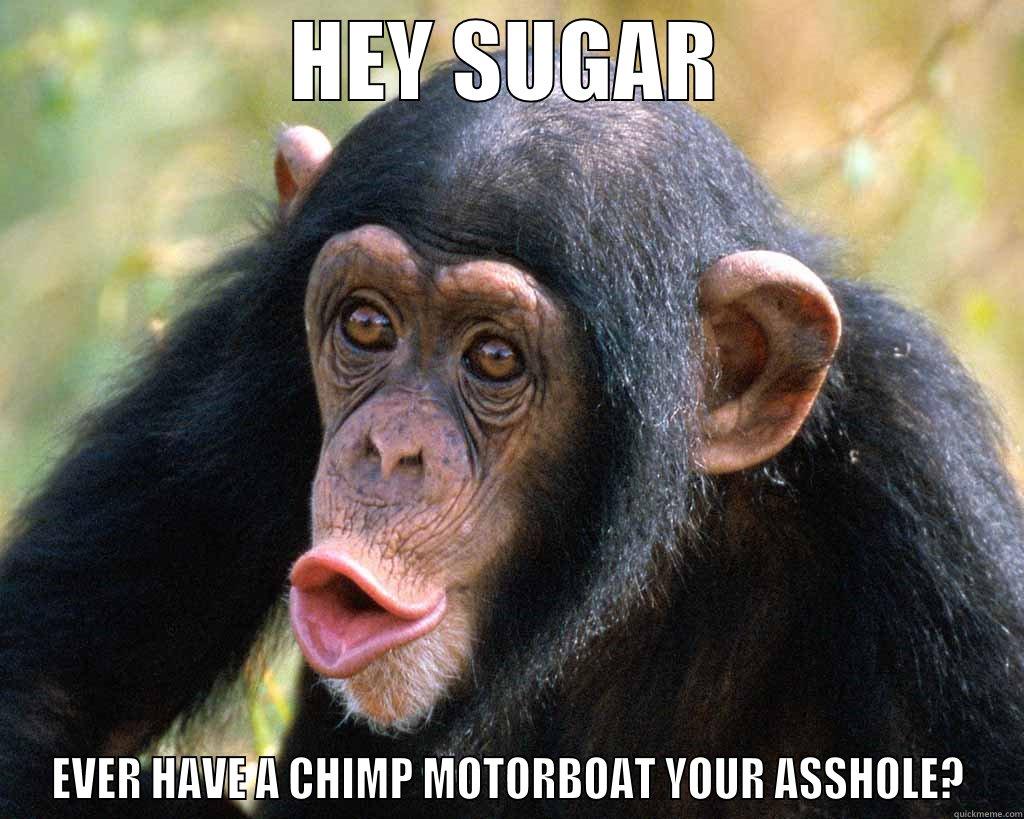 HEY SUGAR EVER HAVE A CHIMP MOTORBOAT YOUR ASSHOLE? Misc