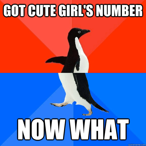 Got cute girl's number Now what  Socially Awesome Awkward Penguin