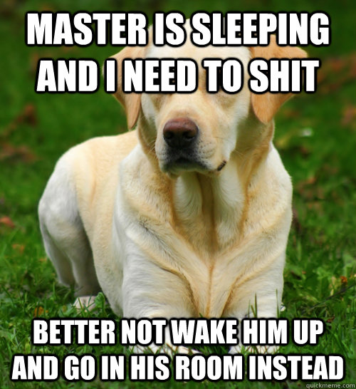 Master is sleeping and i need to shit better not wake him up and go in his room instead  Dog Logic