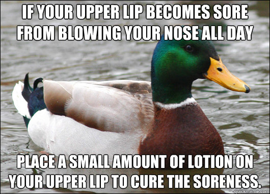 If your upper lip becomes sore from blowing your nose all day Place a small amount of lotion on your upper lip to cure the soreness.  Actual Advice Mallard