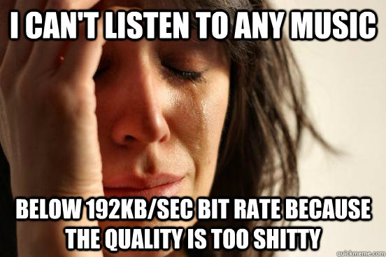 I can't listen to any music below 192kb/sec bit rate because the quality is too shitty  First World Problems