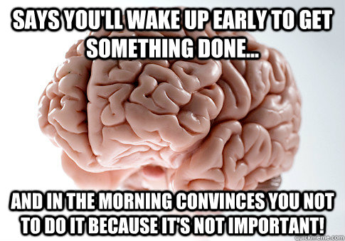 says you'll wake up early to get something done... and in the morning convinces you not to do it because it's not important!   Scumbag Brain