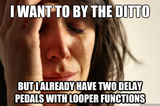 I want to by the Ditto But I already have two delay pedals with looper functions  First World Problems
