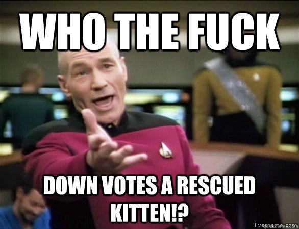 Who the Fuck Down Votes a Rescued Kitten!?  Annoyed Picard HD