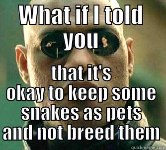 WHAT IF I TOLD YOU THAT IT'S OKAY TO KEEP SOME SNAKES AS PETS AND NOT BREED THEM Matrix Morpheus